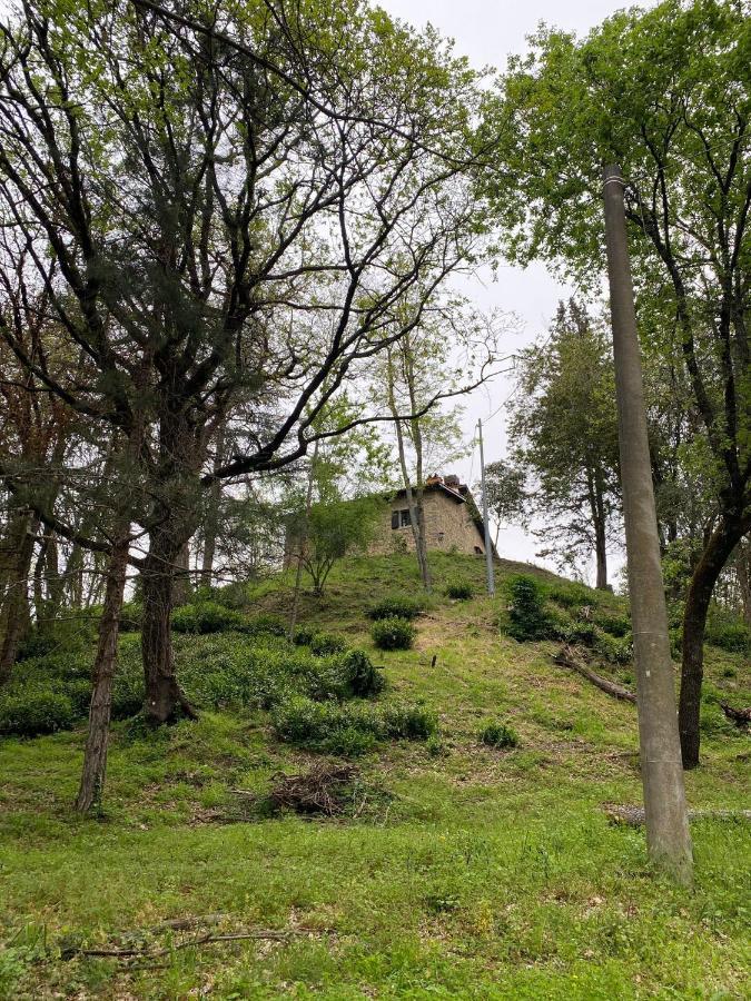Naturemugello Oasi Naturista Dicomano Eksteriør bilde