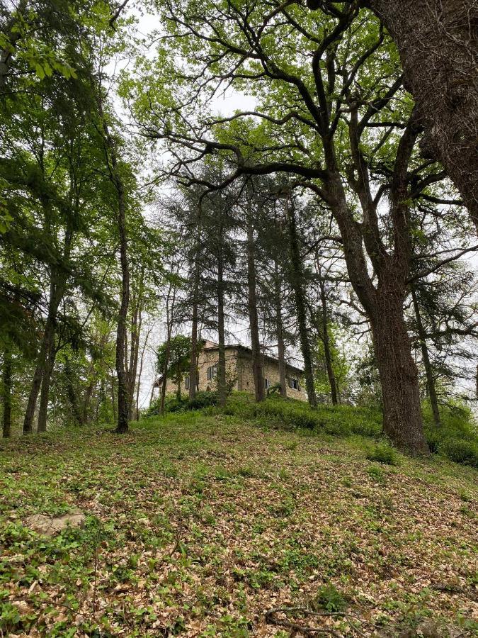 Naturemugello Oasi Naturista Dicomano Eksteriør bilde